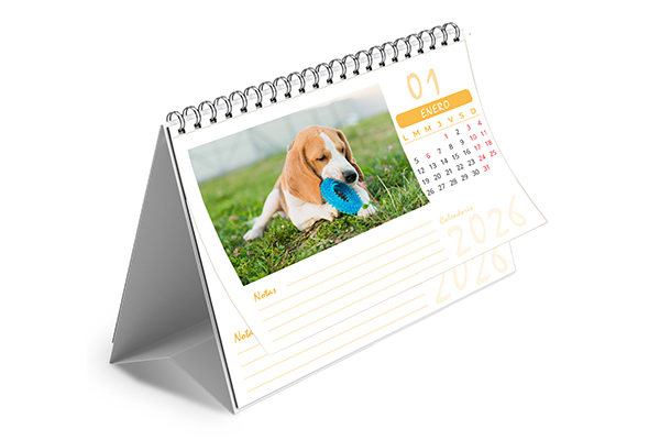 Mockups Design