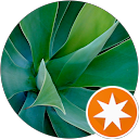 Mar Cirugeda Montojo profile picture