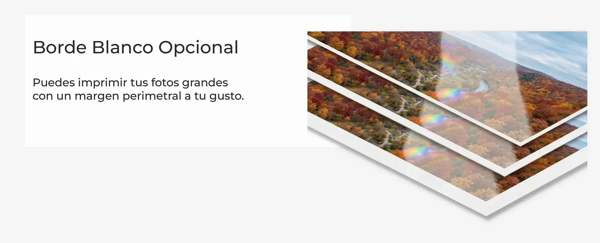 Imprimir Fotos Grandes Con Borde Imprimir póster